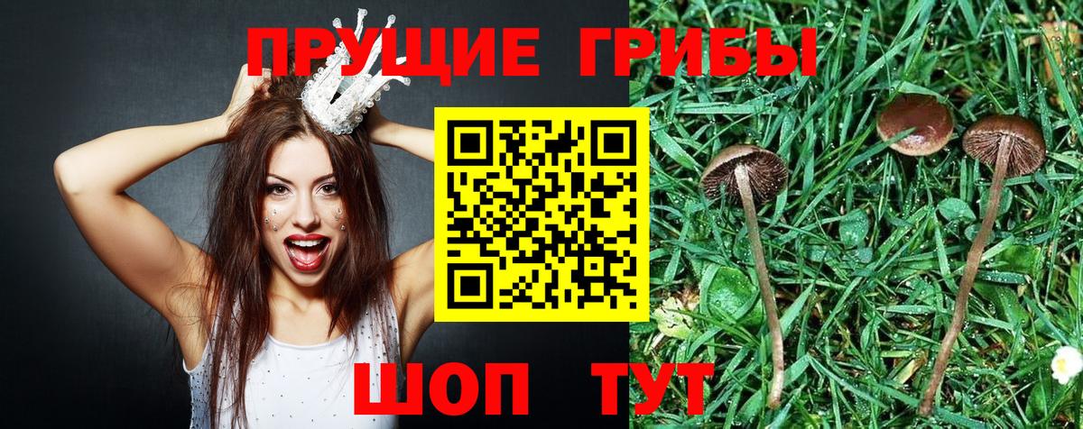 Асбест  Псилоцибиновые грибы мицелий  Вход с VPN 